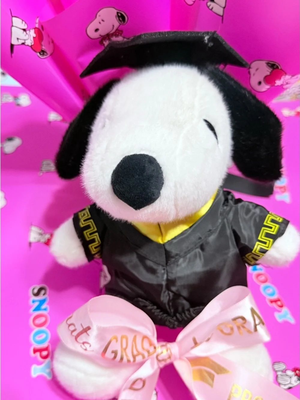 Graduation Bouquet Gift Set Plush Dog 5 Sheets + 2 Yards Ribbon